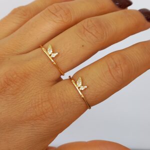 ANILLO