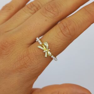 ANILLO AJUSTABLE